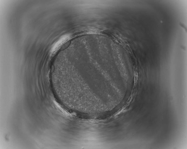 X0000102480197200808291635