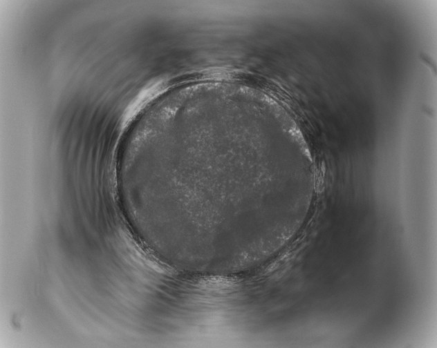 X0000102480198200808291635