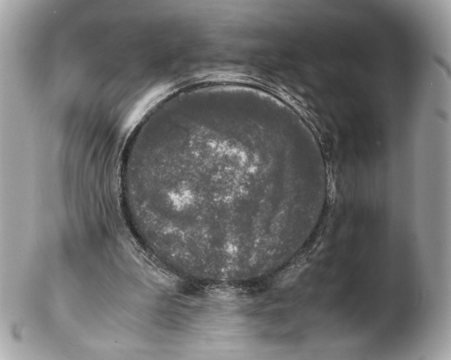 X0000102480199200808291634