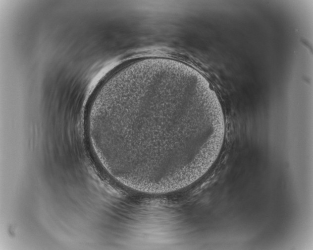 X0000102480200200808291634