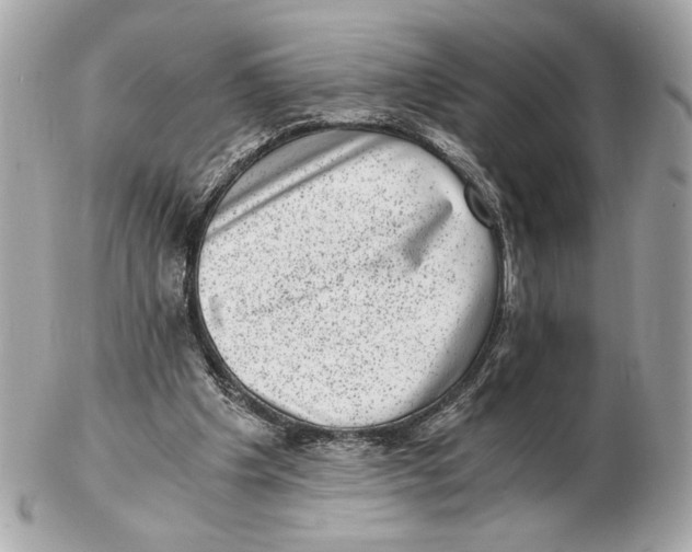 X0000102480201200808291634