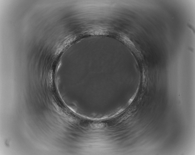 X0000102480202200808291634