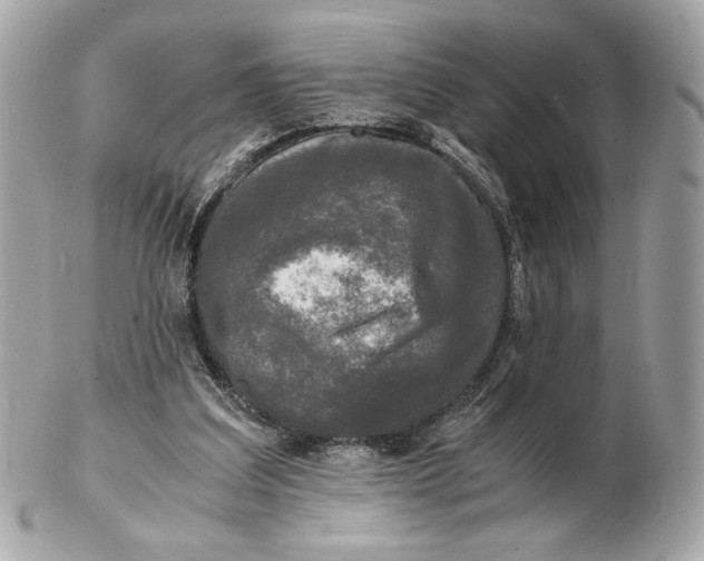 X0000102480203200808291634