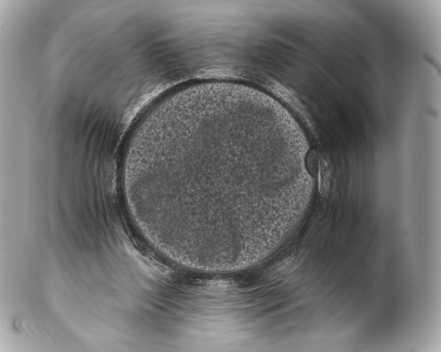 X0000102480204200808291634