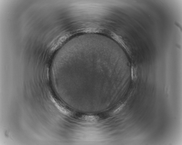 X0000102480205200808291634