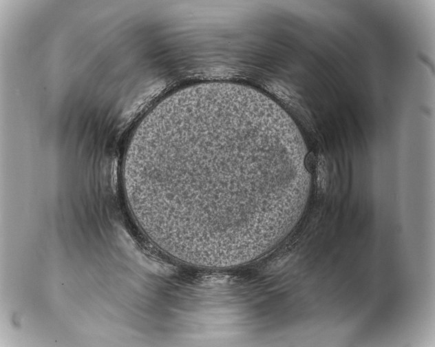 X0000102480206200808291634