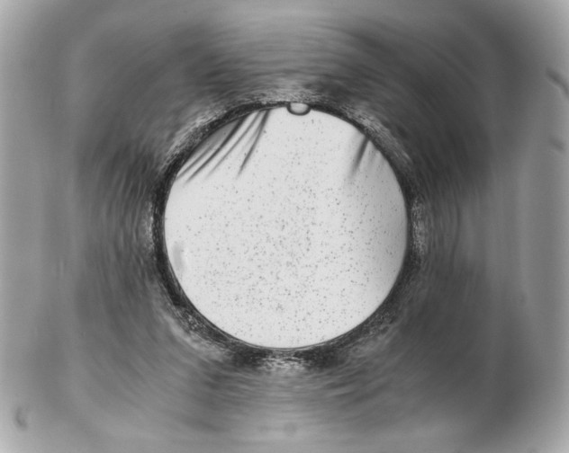 X0000102480207200808291634