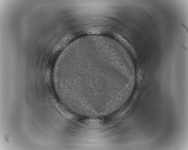 X0000102480209200808291634