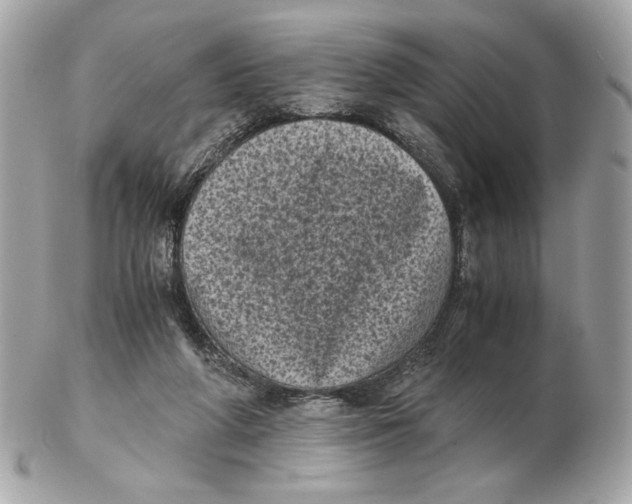 X0000102480210200808291634