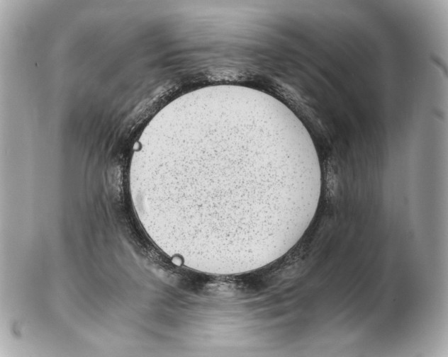 X0000102480211200808291634