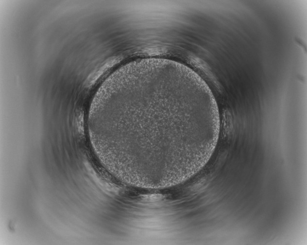 X0000102480212200808291634