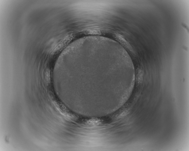 X0000102480213200808291634