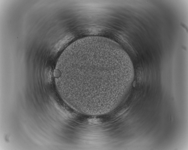 X0000102480216200808291634