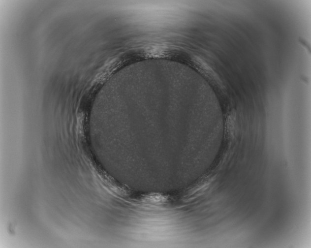 X0000102480217200808291634