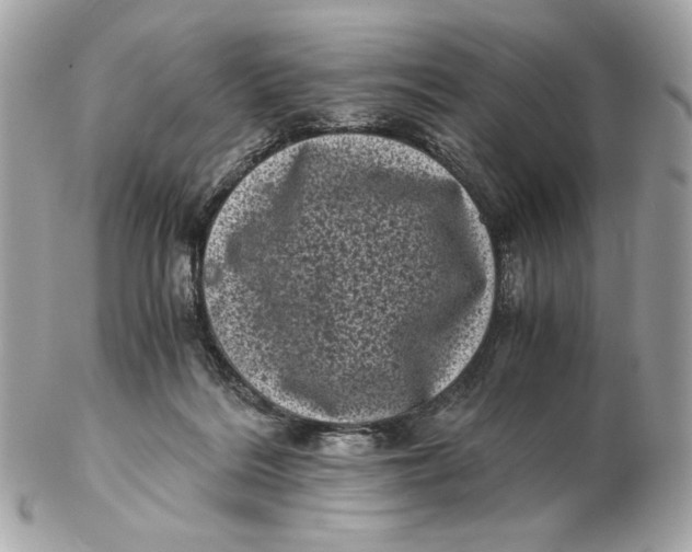 X0000102480220200808291634