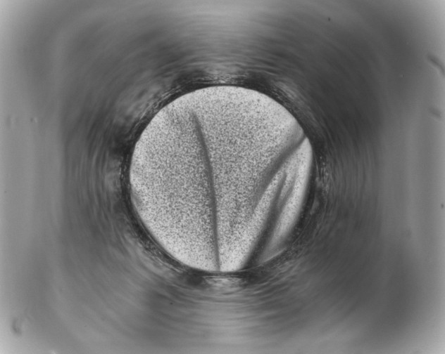 X0000102480221200808291634