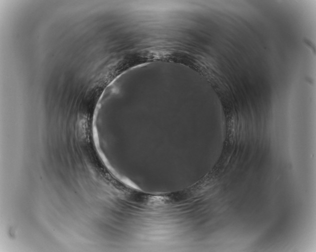 X0000102480222200808291634