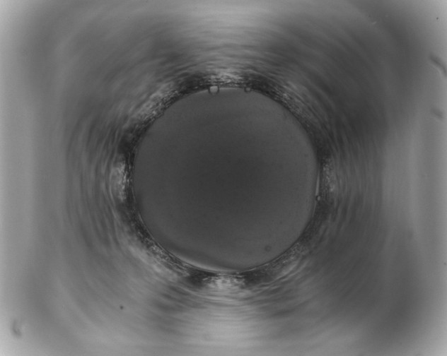 X0000102480223200808291634