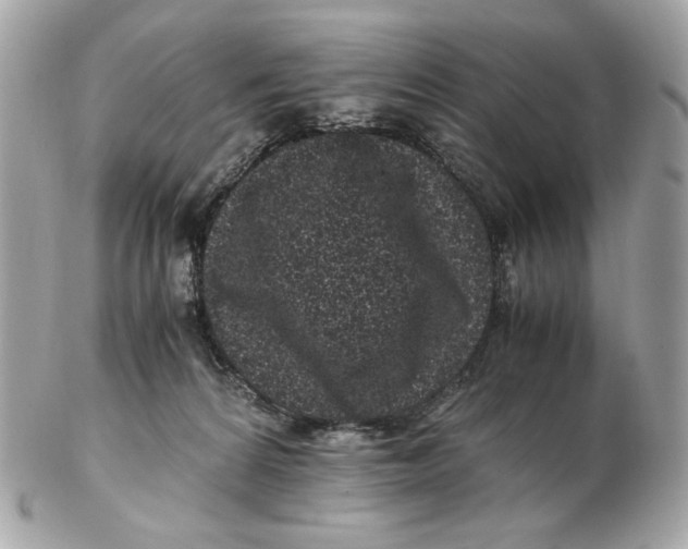 X0000102480224200808291634