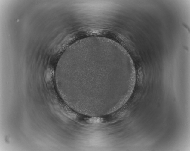 X0000102480225200808291634