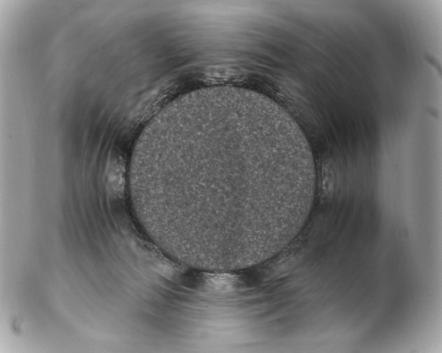 X0000102480226200808291634