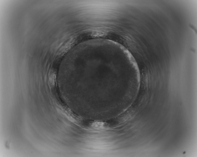 X0000102480227200808291634