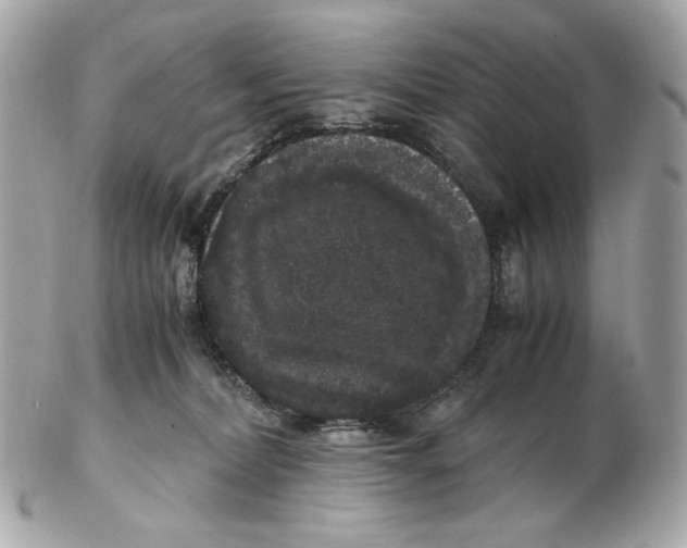 X0000102480228200808291634