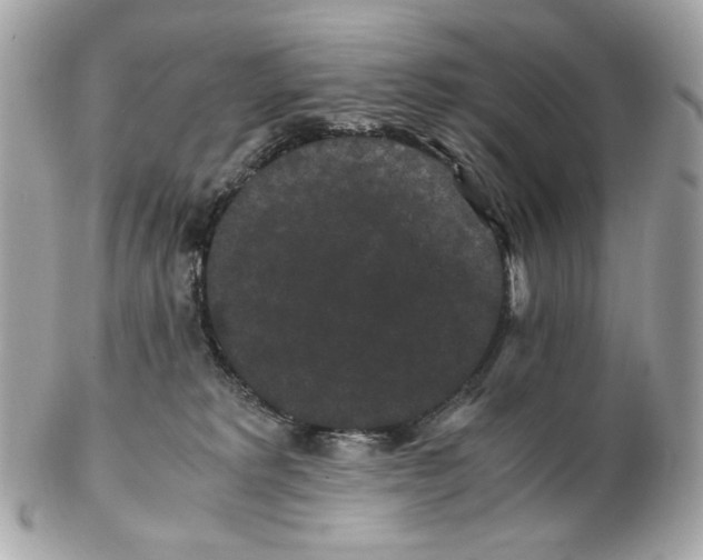 X0000102480229200808291634