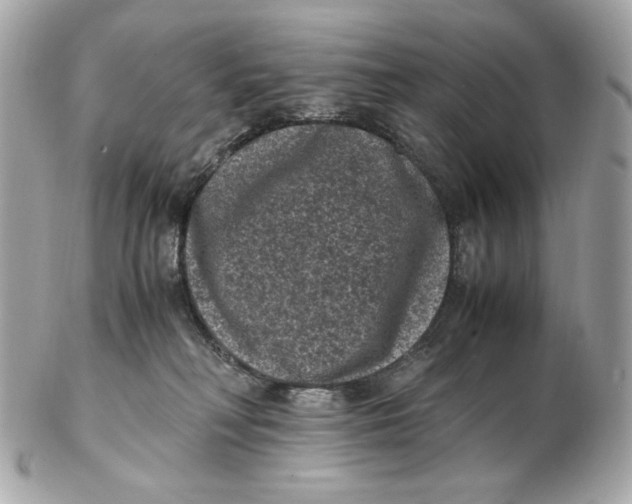 X0000102480230200808291634