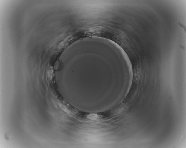 X0000102480231200808291634