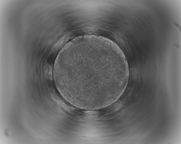 X0000102480234200808291634