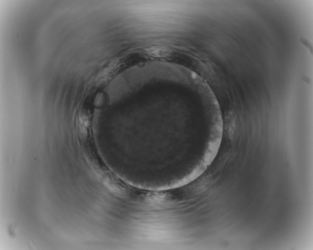 X0000102480235200808291634