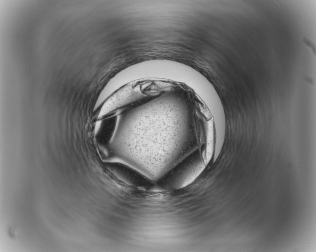 X0000102480237200808291634