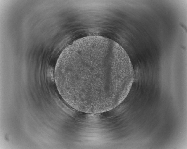 X0000102480238200808291634