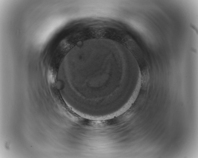 X0000102480239200808291634