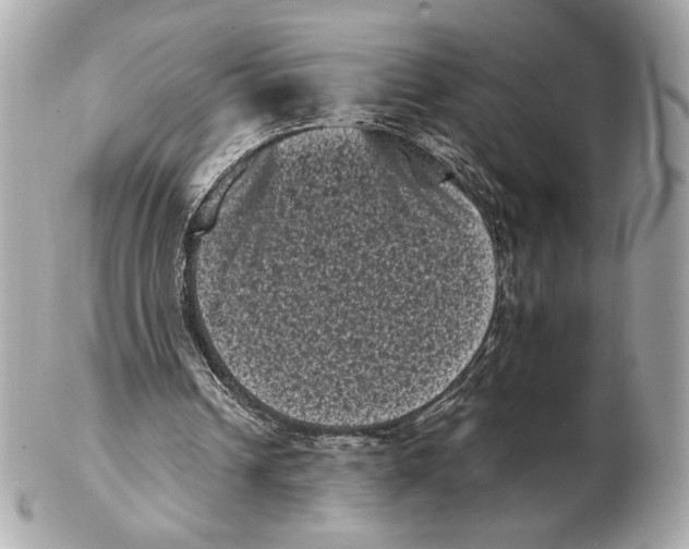 X0000102480242200808291633