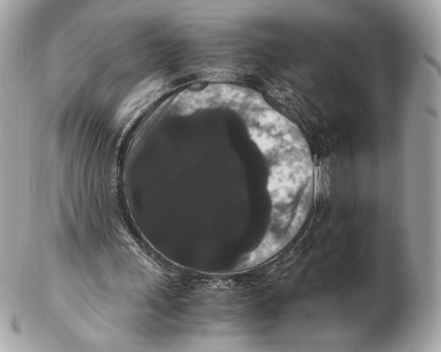 X0000102480243200808291633