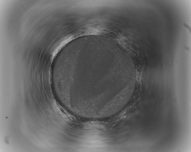 X0000102480244200808291633