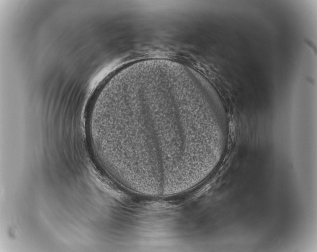 X0000102480246200808291633