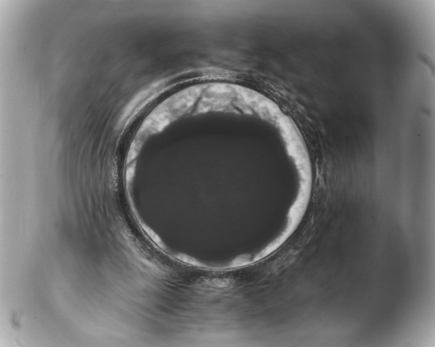 X0000102480247200808291633