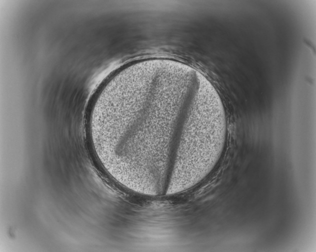 X0000102480248200808291633