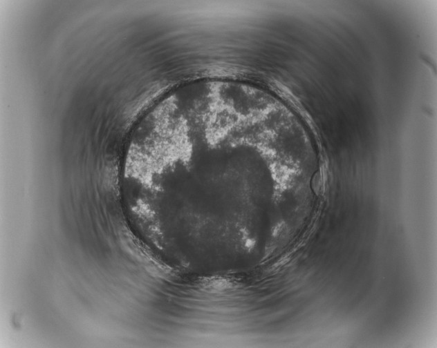 X0000102480249200808291633