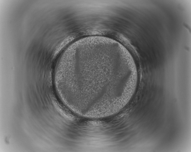 X0000102480250200808291633