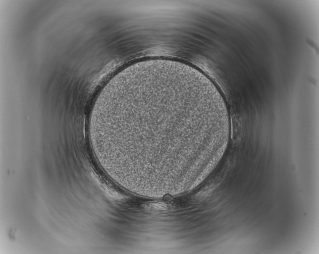 X0000102480253200808291633