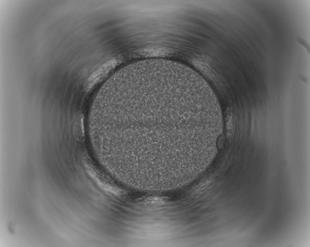 X0000102480254200808291633