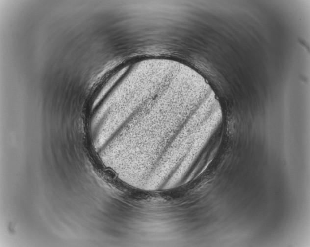 X0000102480256200808291633