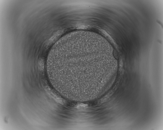 X0000102480257200808291633