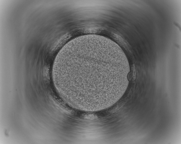 X0000102480258200808291633