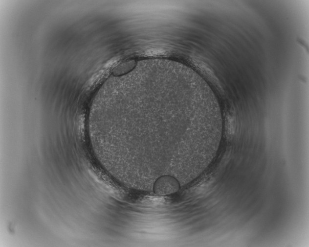 X0000102480260200808291633