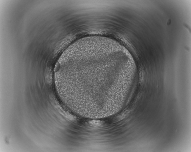 X0000102480261200808291633